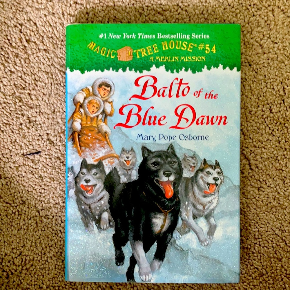 Baltic of the Blue Dawn book